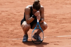 sakkari